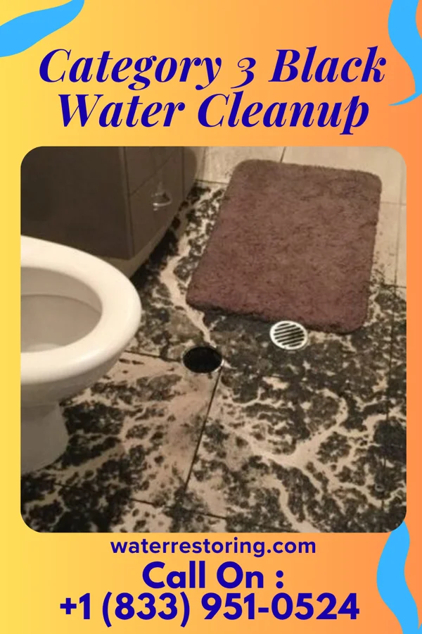 Category 3 Black Water Cleanup in Bluff City, KS