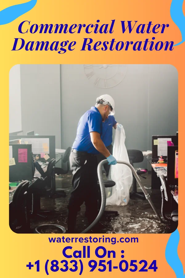 Commercial Water Damage Restoration in Bluff City, KS