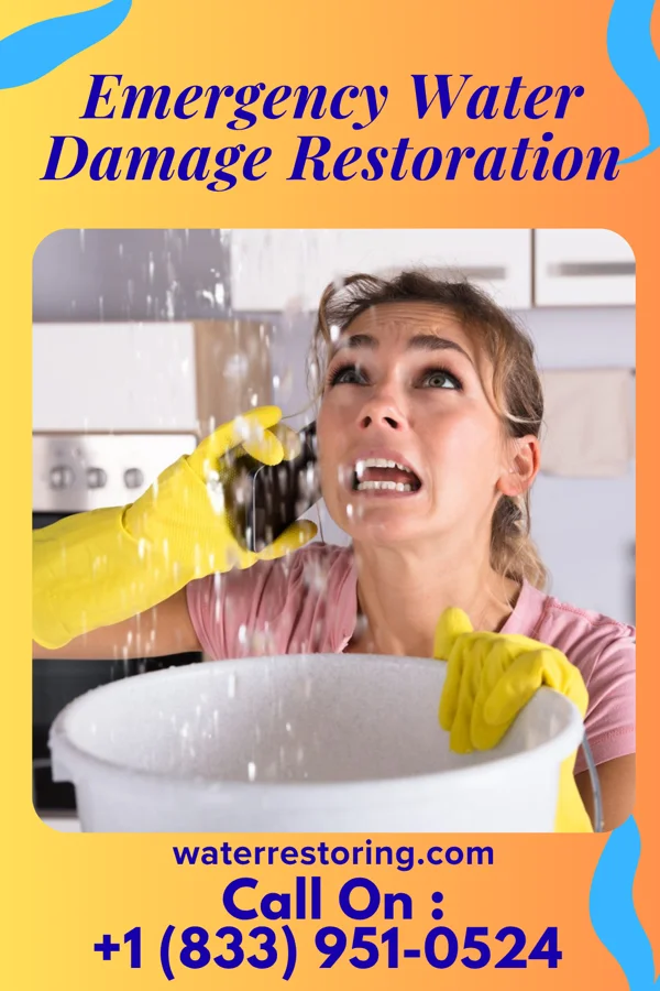 Emergency Water Damage Restoration in Bluff City, KS