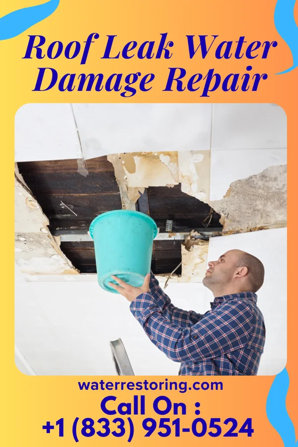 Roof Leak Water Damage Repair in Bluff City, KS