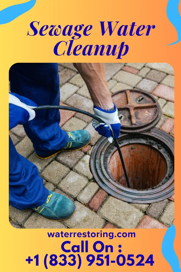 Sewage Water Cleanup in Bluff City, KS